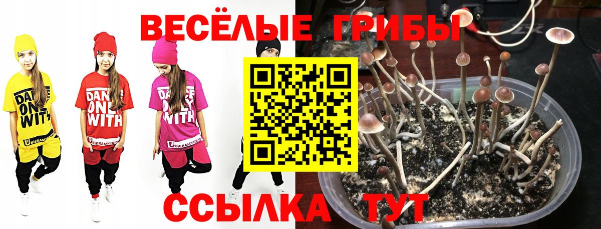 Галлюциногенные грибы прущие грибы  Псилоцибиновые грибы Magic Shrooms  Вход с VPN  Лянтор 